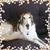 Arleen Griffith's profile image