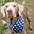 Leslie Hutchings Miller's profile image