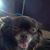 Brandi McDaniel's profile image