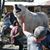 Jean-Marie Holgate's profile image