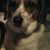 Stacey Walker's profile image
