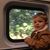 Rob Fulk Campbell's profile image