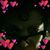 Rina Jenkins's profile image