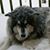 Lisa Watson's profile image