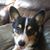 Terry Woodall Ramsbotham's profile image