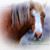 tinah913's profile image