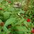 Teresa A. Pyles's profile image