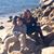 Shelley Fecteau's profile image
