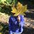 Summer Owen Sheldon's profile image