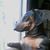 Lee Wade's profile image