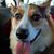 Babette Gibbs's profile image