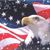 David Johnson's profile image