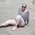 Stacy Jauregui's profile image