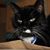 Richard Culbert's profile image