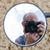 Mark McIlroy's profile image