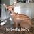 Tina Geer Galloway's profile image