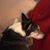 Nancy Johnson's profile image