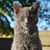 Kim Prater's profile image