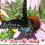 Marlene Martin's profile image