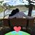 Manuel Isaac Gutierrez's profile image