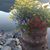 Tricia Votta's profile image