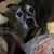 Donna Dalton-Fitzgerald's profile image