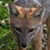 Valerian Jone's profile image
