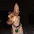 Ruth Lynn Gordon's profile image