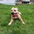 Teri John Hoad's profile image