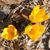 Andrea M.Michener's profile image