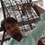 Jayesh Prajapati's profile image