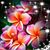 Lorena Ramirez's profile image