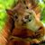 Cheryl Ethridge-Morton's profile image