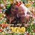 Kay Edwards Jopling's profile image
