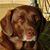 Donn Jacobson's profile image