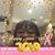 Trina Davis Fortson's profile image