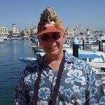 Paul Daley's profile image