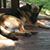 Judy Burchfield's profile image