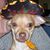 Dorothy Hanley's profile image