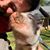 Daniel Miller's profile image