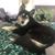 Brandi Bowers - Crow's profile image