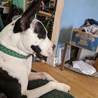 Ed Chris Bender's profile image