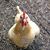 Cathy McCloud's profile image