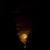 Dale Black's profile image