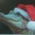Scott Broadfoot Sr's profile image