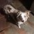 Angela Byrd Gossett's profile image