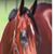 Sca D Villa Tina's profile image