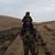 Jonathan Rodemeyer's profile image