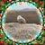 Elisabeth Harcourt Doty's profile image
