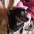 Ardee Eichelmann's profile image